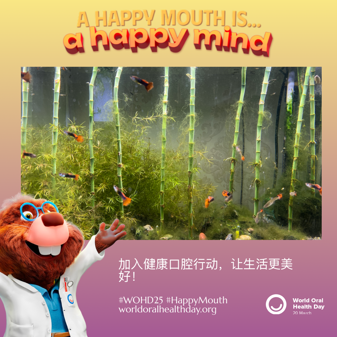 9cb6a99f1a1869e1705e1c87def68d28.png